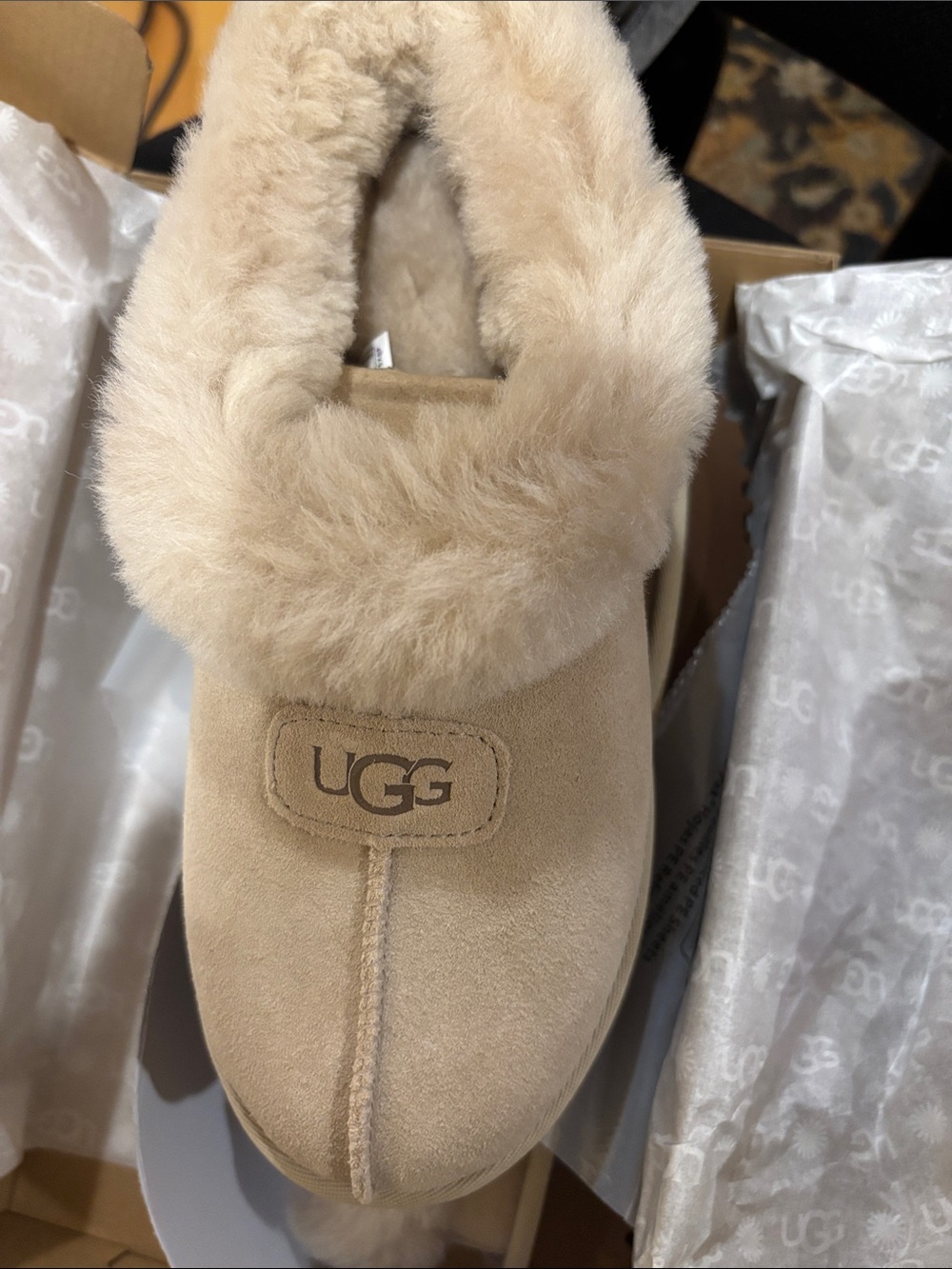 UGG-Tazzette Shearling Collar—Moonlight